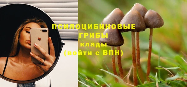 индика Горно-Алтайск
