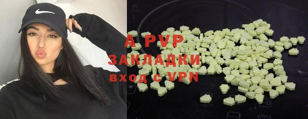 индика Горно-Алтайск