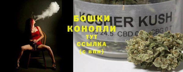 индика Горно-Алтайск
