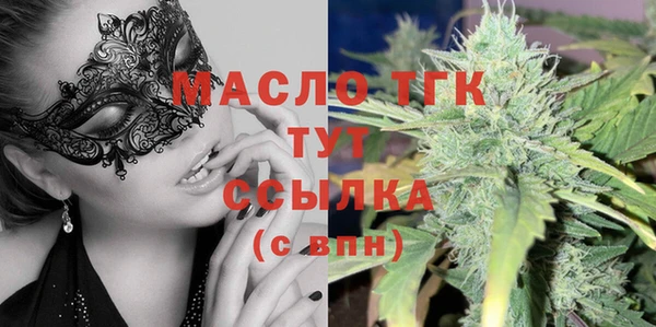 индика Горно-Алтайск