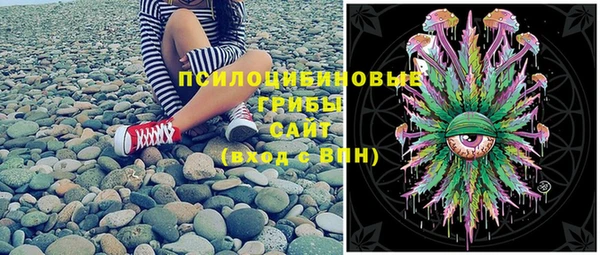 индика Горно-Алтайск