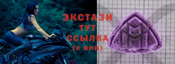 индика Горно-Алтайск