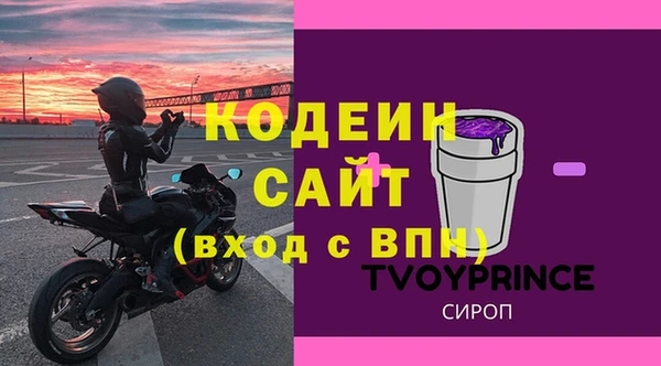 индика Горно-Алтайск
