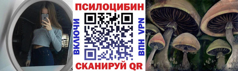Псилоцибиновые грибы Psilocybe  Купить  Асино 